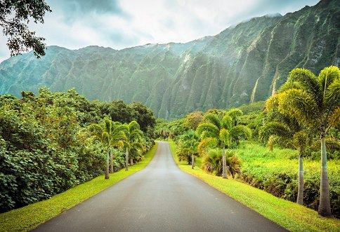 Hawaii in North Dakota