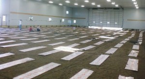 To Insulate or Not to Insulate