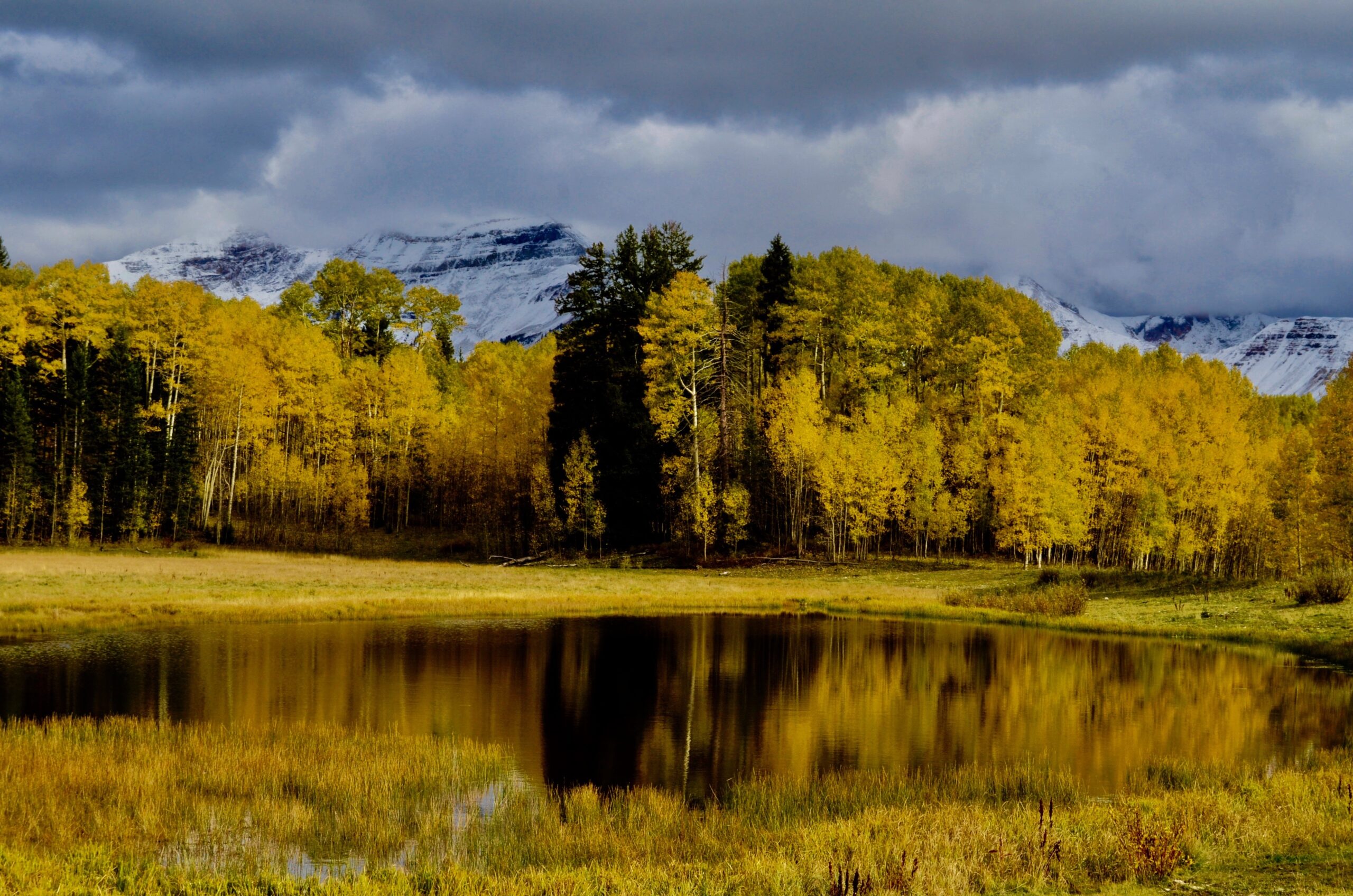 Dreams in Durango